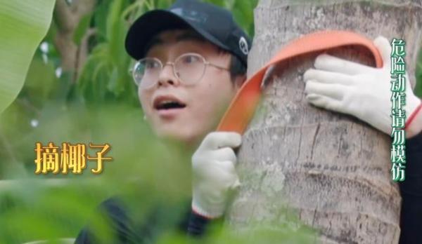  生活|《向往的生活》彭彭上树摘椰子，沙溢穿傣服，郭麒麟有那味了