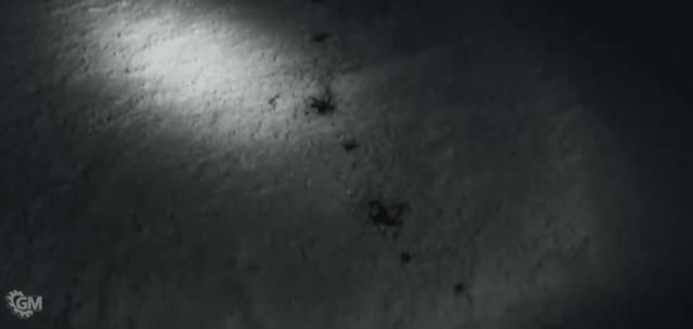  智久|山下智久+欧美悬疑？有点意思