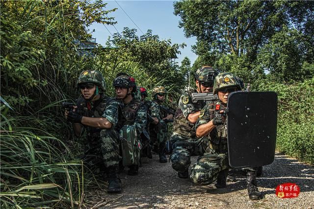 捕歼|密林深处，武警特战队员山林地捕歼战斗打响