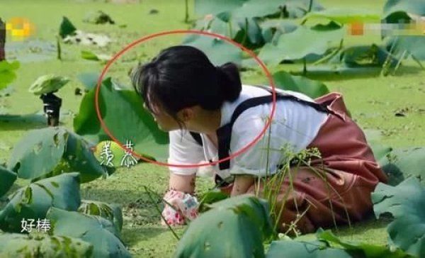 子枫妹妹|张子枫下田干活,当镜头特写时,有无作秀很明显