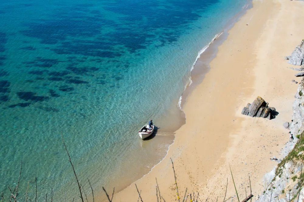 花路|治愈系综艺同款房车游，约你一起走花路！