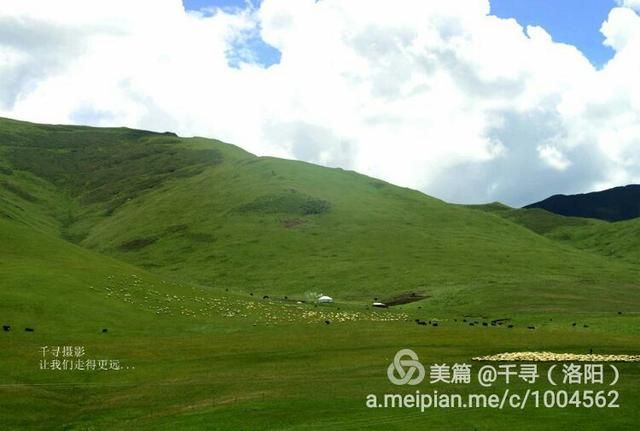  甘南|甘南，穿行在213国道上的雪月风华