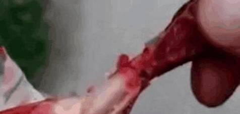 发现|男子在小卖部买了一个鸡腿,吃了两口发现问题