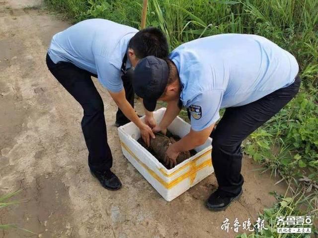 高青|高青一村民在地里挖出废旧炸弹，竟准备拆开卖废铁……