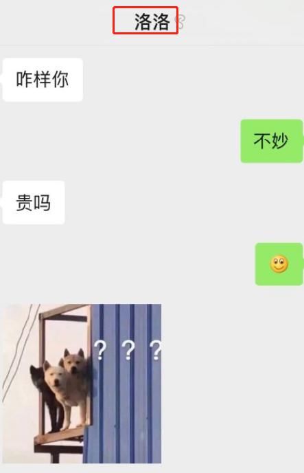  周震南|周震南和何洛洛聊天曝光，谁留意南南对他的备注？令人羡慕的友谊