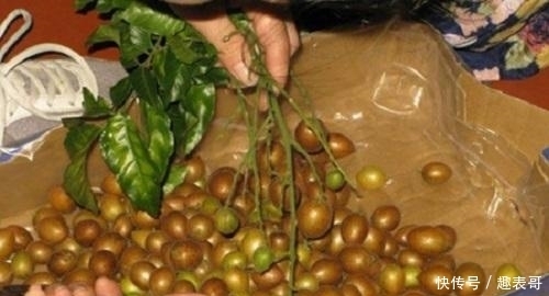 健康|七月,遇到这碱性水果别错过,做成零食美味又健康,别不懂吃!