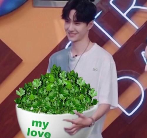  香菜|王一博眼睛有多大，粉丝：取决于对面的食物有多“诱惑”他