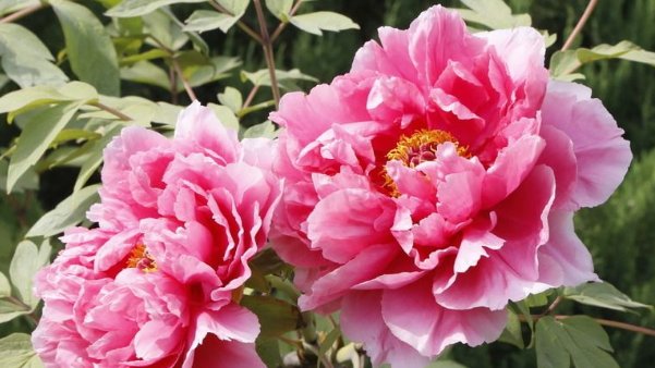  远离|想要福报多多，远离以下4种人，你就能修身修心得福报