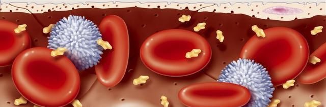  皮肤|血小板减少饮食上要注意什么？皮肤会出现发红吗？