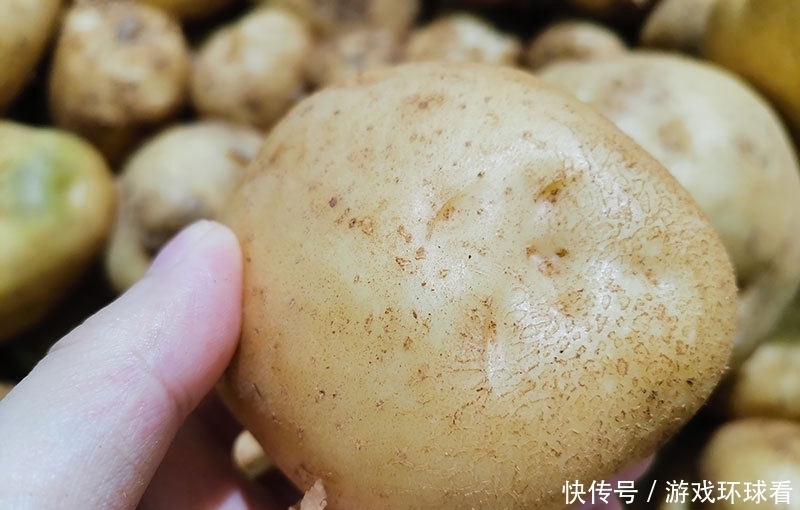  菜农|土豆挑选有技巧，菜农教你两招，挑出好土豆