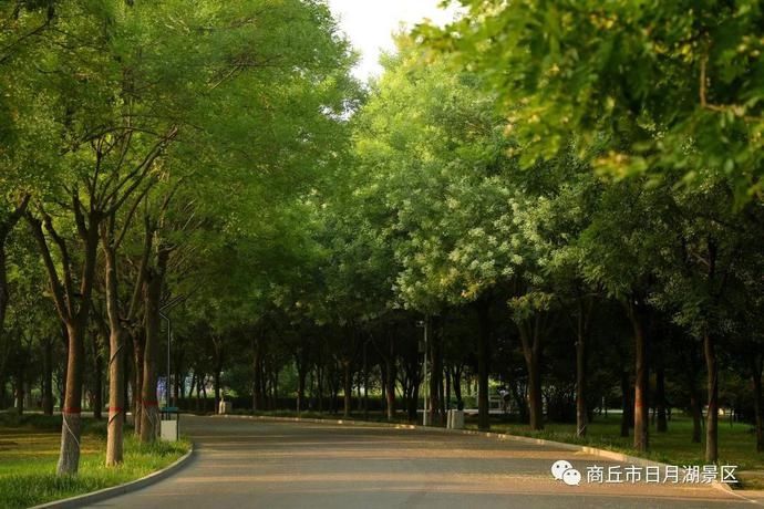  生活|商丘市日月湖景区 远离尘世的喧嚣 于纷繁的生活中寻一份清静