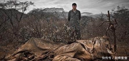 回收|该国国库空虚,想到一招,将滞销品卖给中国,中国大喜,高价回收