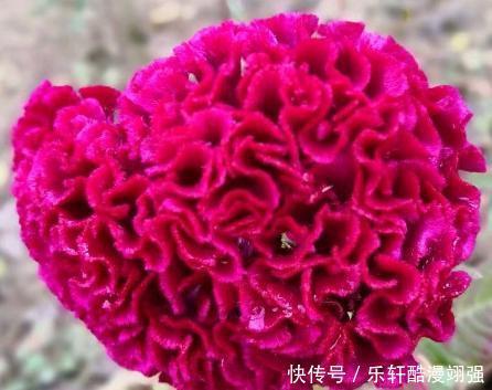 助人为乐|生日是此3个月的人,助人为乐,贵人众多,前途光明,出息不小