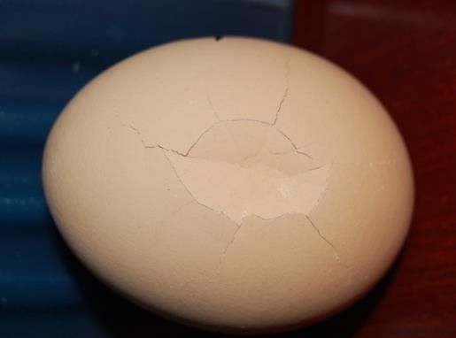 发现鸡蛋|菜市场这种鸡蛋别买,对身体没好处,赶紧告诉家里人