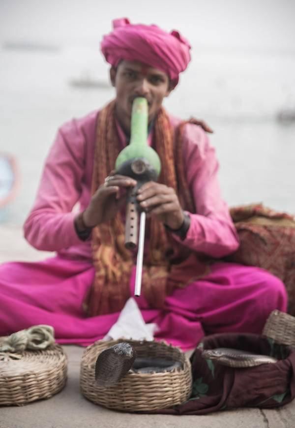  受伤|受伤的文明：印度