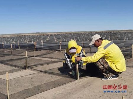 编制防沙网格|发现最美铁路：戈壁深处的铁路治沙人