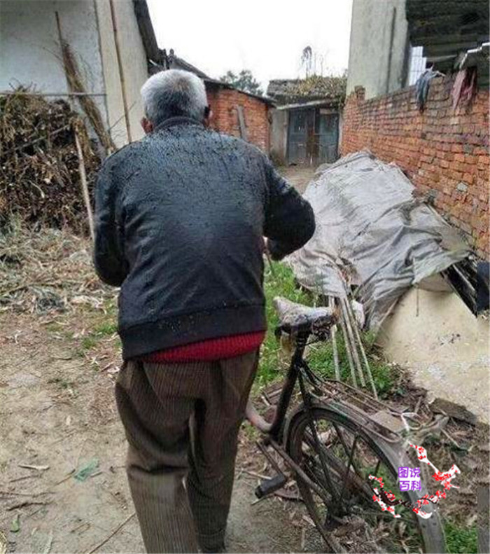  人心|寒了好人心：拾荒老人捡到巨款归还失主，失主一句话让人无奈