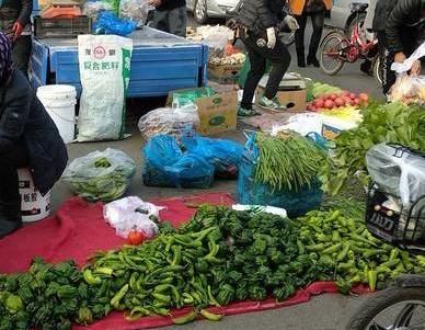 一家人|一家人组团偷菜,67岁老母亲带女儿女婿潜入他人菜地,凌晨作案早市销赃