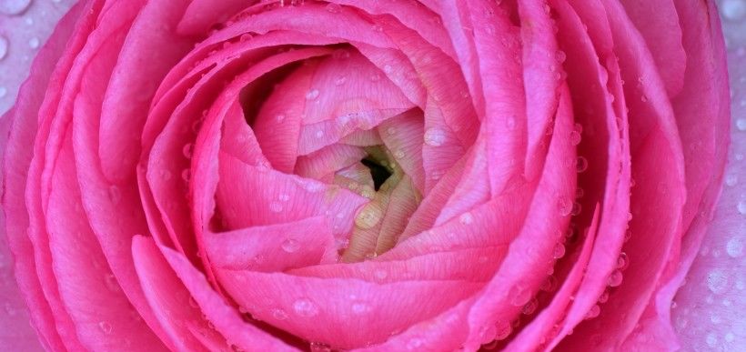 好运|8月将会行好运发大财的4个星座，好运不停，前程似锦