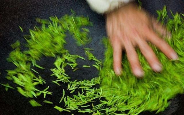 源于|中国之茶源于云贵？你怎么样看待贵州茶