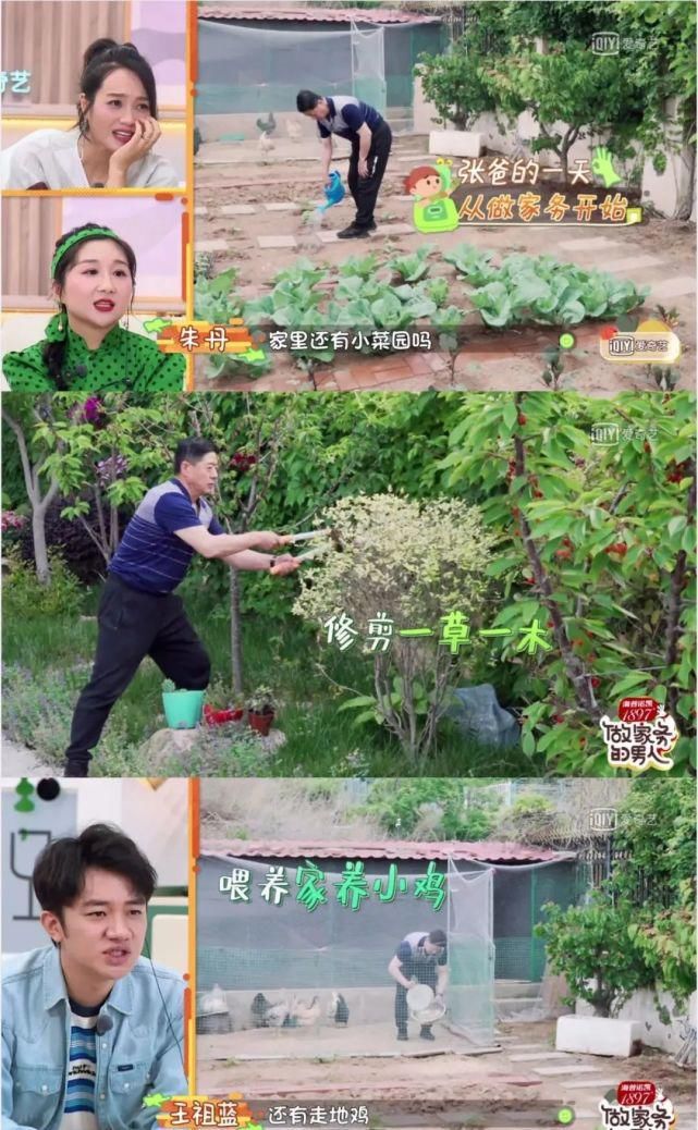  家里|在张继科的家里，上演着现实版「父母爱情」
