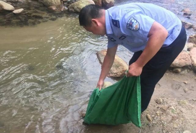 当场|两男子抓石鸡，当场被抓！