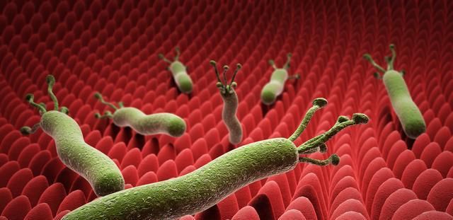  找到|胃病最大“元凶”找到，消化科医生：防大于治，常做3点养胃防癌