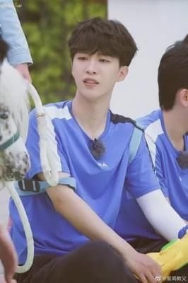  杨迪|下跪的杨迪，也救不回《青春环游记2》！