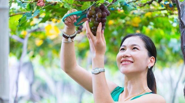  口感|夏日炎炎，清凉解暑水果推荐！