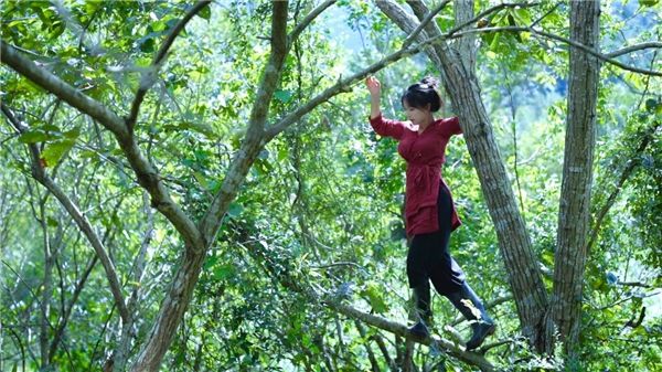  李子柒的视频|李子柒视频里的中国农村让外国人惊叹，农村生活也可以很美好