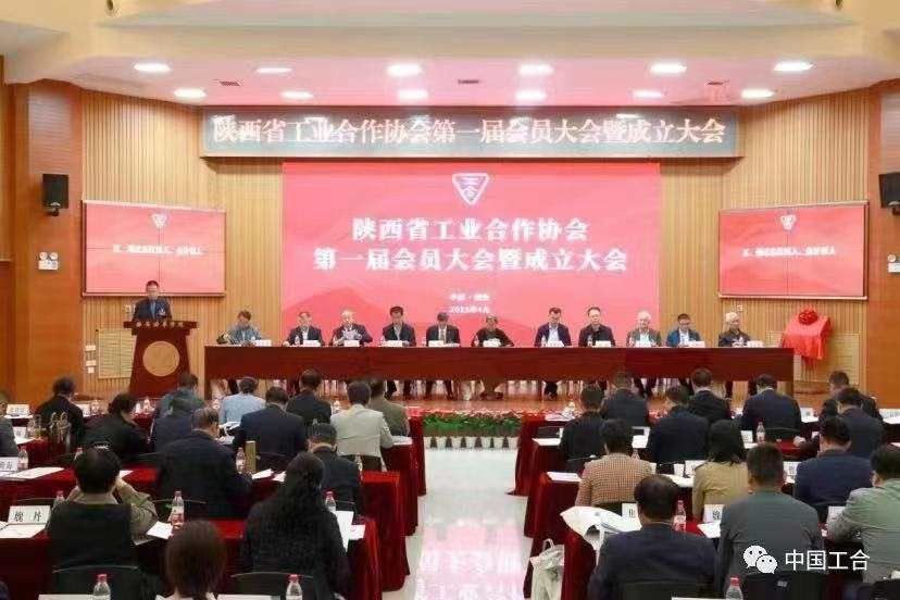 陕西省工业合作协会正式成立