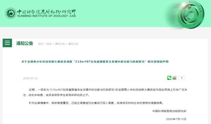  小学生|昆明小学生研究基因敲除获奖引质疑 官方：已介入调查