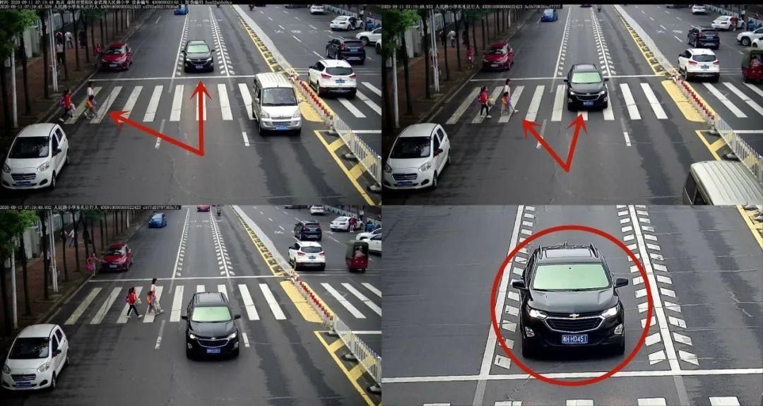 驾驶机动车违反道路|闯红灯、斑马线前不礼让行人，看看都有谁？