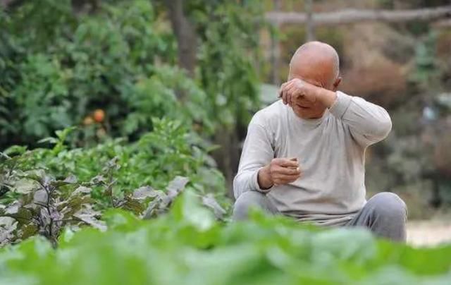 养老院|时隔40年，引以为傲的首批“丁克”，步入老年，现在过得怎样了？