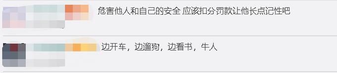 开车|这是什么操作？司机开车时边撸狗边看书，后方司机：我都惊呆了