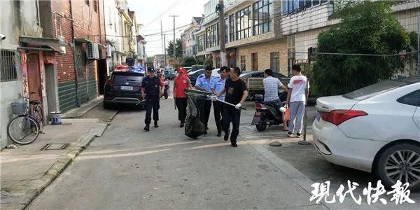  杨大妈|滨海一大妈被流浪狗咬伤，民警来了竟这么做...