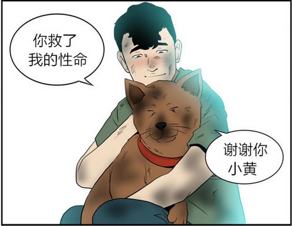  这次|搞笑一刻：宠物狗每次都能救下落难的男孩，但这次男孩一点也不感激