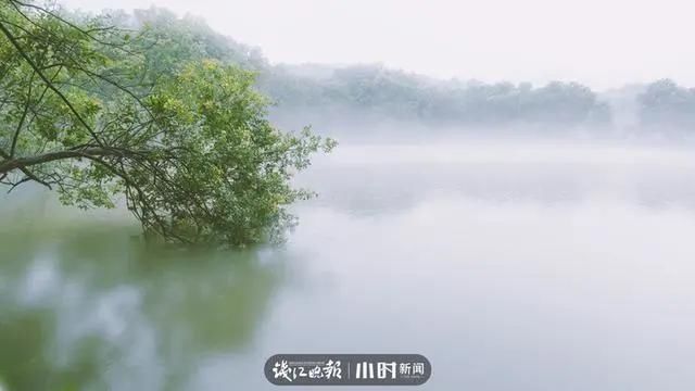  钱塘江|太仙！钱塘江“晨雾奇观”刷屏：恍如海市蜃楼
