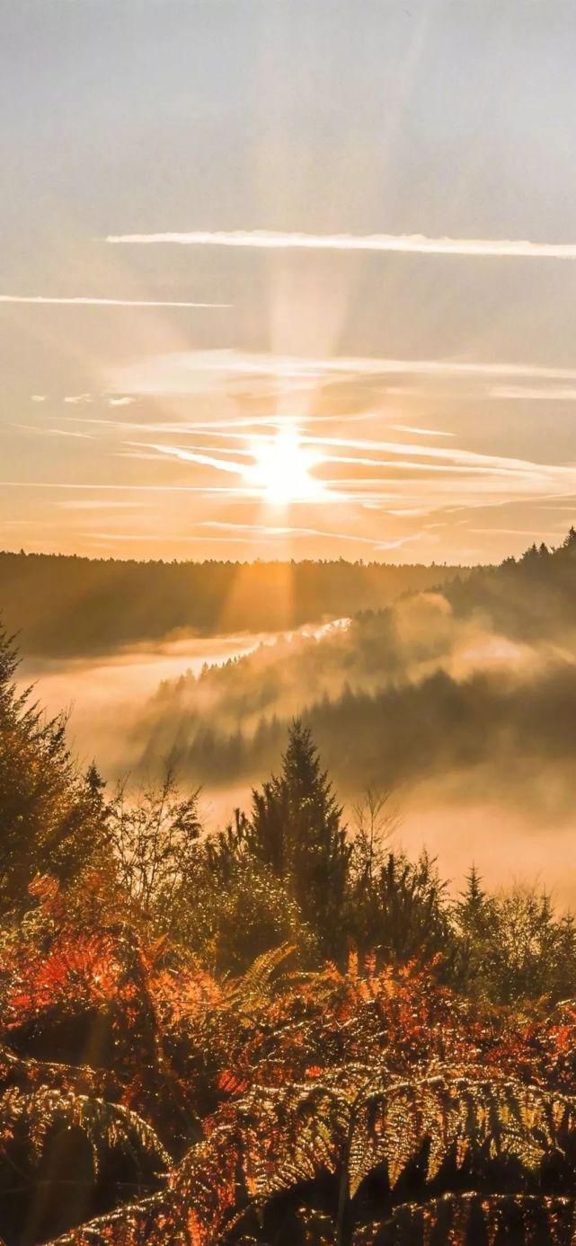  壁纸|壁纸 | 超清唯美全面屏壁纸图片