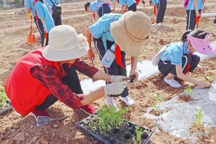  诗意|你与李子柒的诗意生活，只差一个“慈王农庄”！