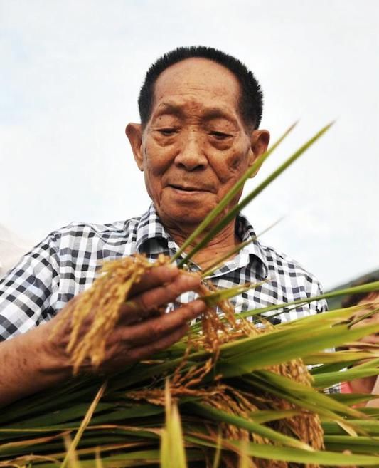  这位|七年了，多少人还在令这位九旬老人心寒