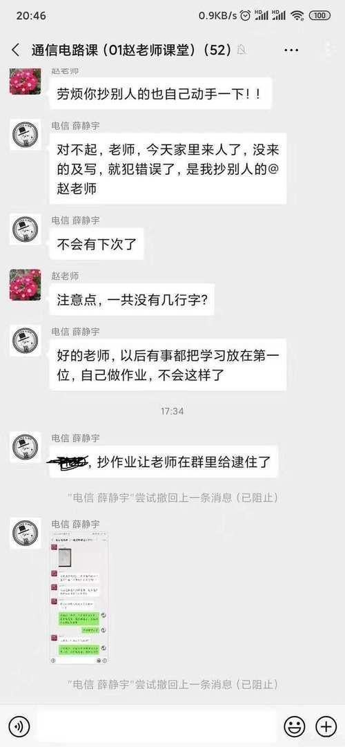 过头|当主人睡过头忘记喂猫粮...