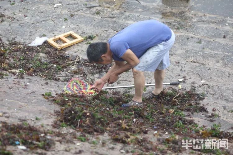 降水|青岛澳门路海边风大浪急，仍有人顶着大浪捞海冻菜