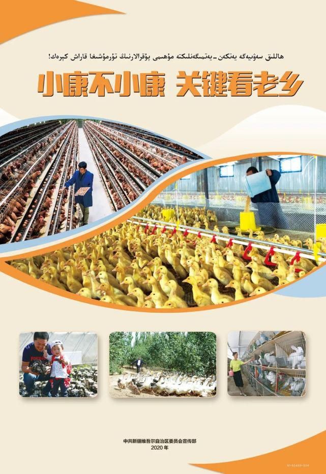  民警|【便民服务】惊险！皮卡车突发自燃 民警化身“消防员”及时救援