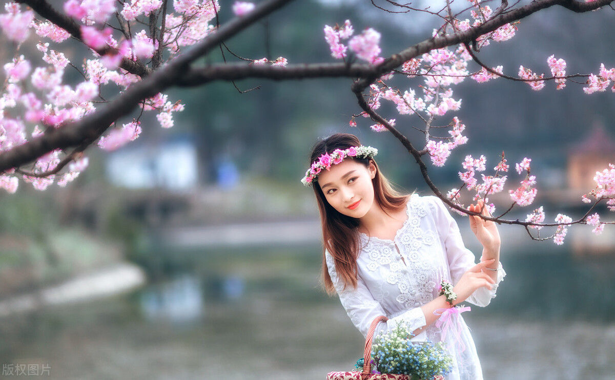  暗香|读睡诗词｜樱红本自暗香开，阅尽芳华艳尽来