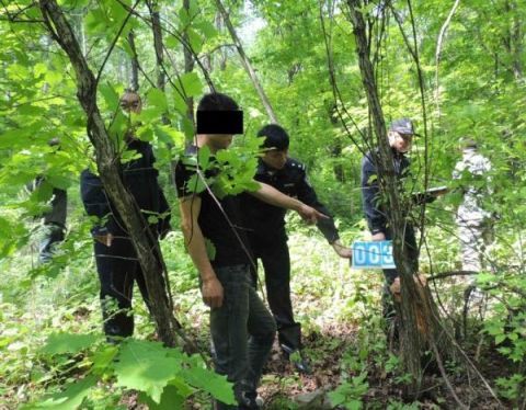 涉林|湾沟森林公安连续破获四起涉林刑事案件