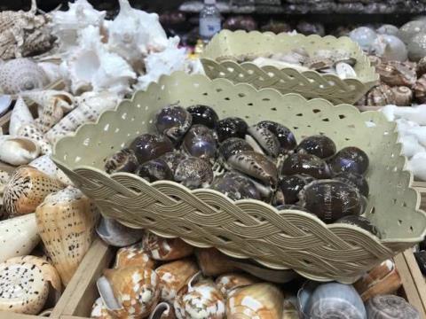 这家|这家店卖了3年的“假鲍鱼”,曝光后生意更好,顾客说出了原因