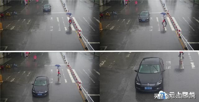 鄂州|不礼让行人？鄂州又一批车辆集中曝光