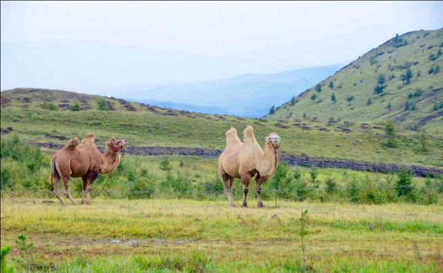 东线|草原天路（四）——东线