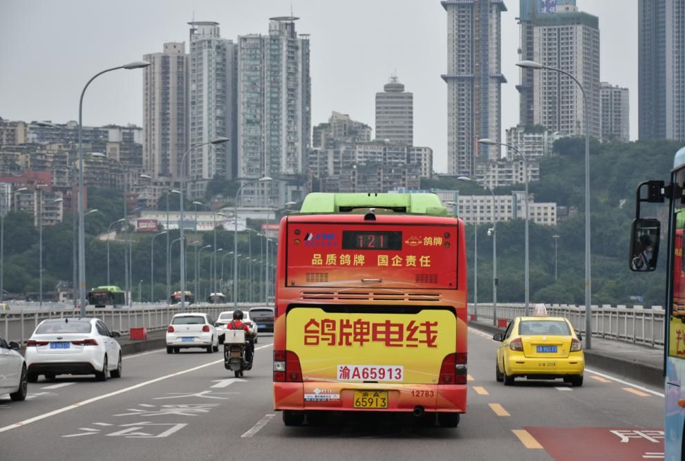 简直|鸽牌电线的公交车身广告，简直是一本重庆家装电线购买的防骗指南